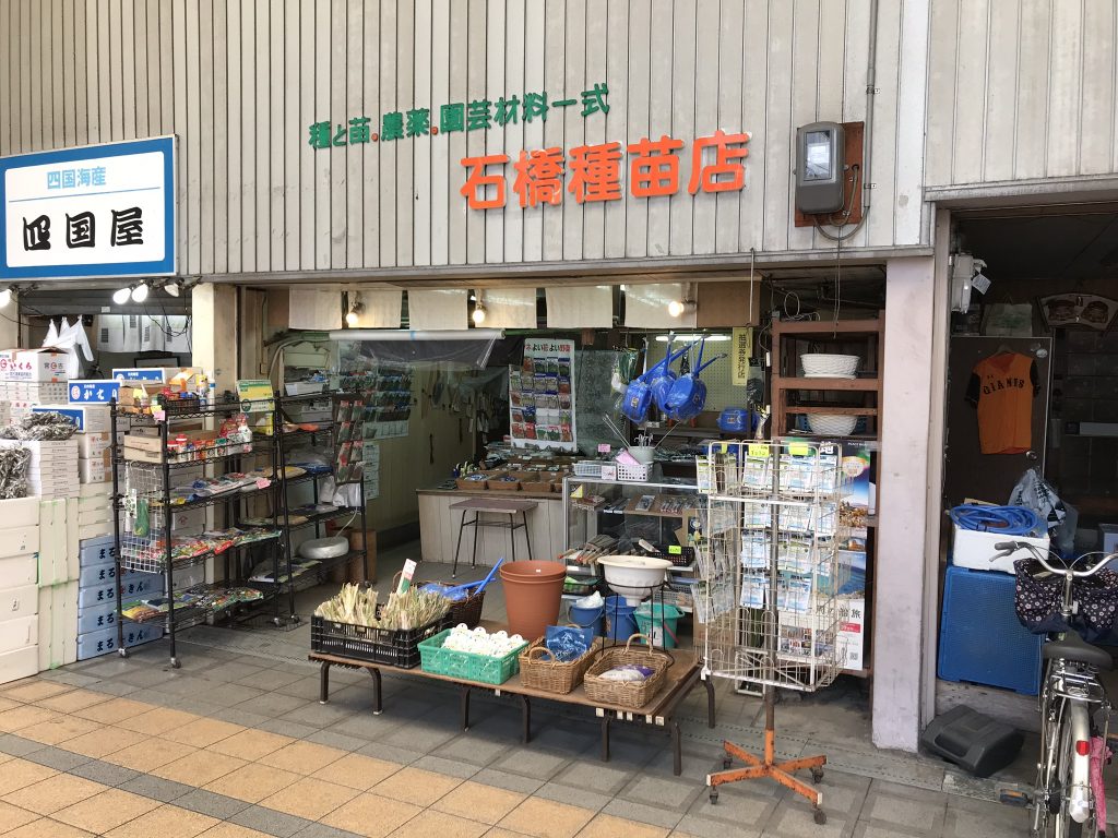 いろんな種を売ってます「石橋種苗店」