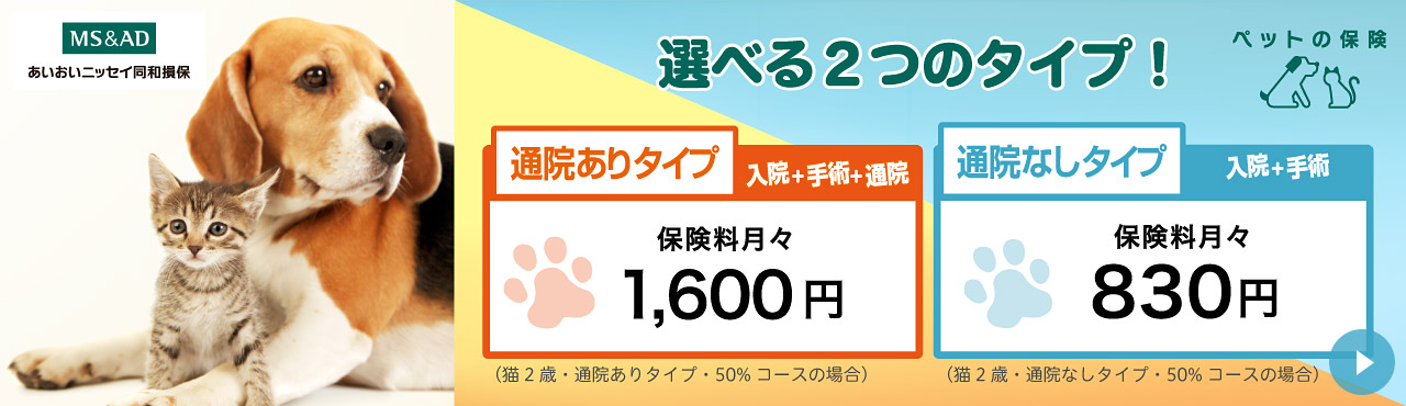 保険事業部のご案内